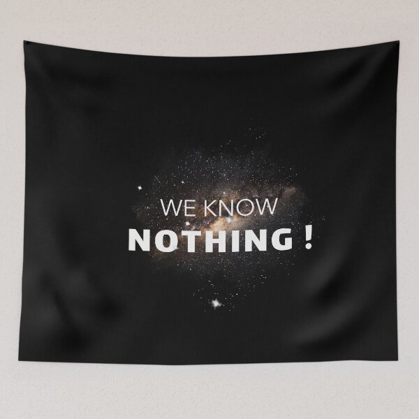 Item preview, WE KNOW NOTHING ! designed and sold by Explicitgt.