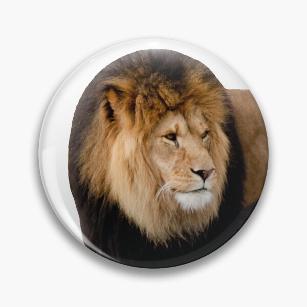 Item preview, Beautiful Lion designed and sold by FilipeFerreira.