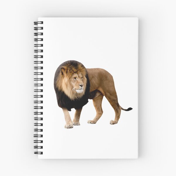 Item preview, Beautiful Lion designed and sold by FilipeFerreira.