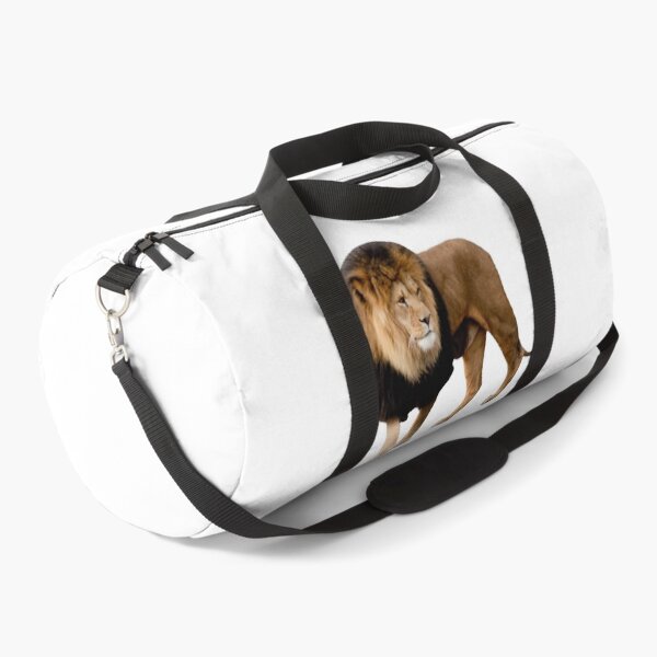 Item preview, Beautiful Lion designed and sold by FilipeFerreira.