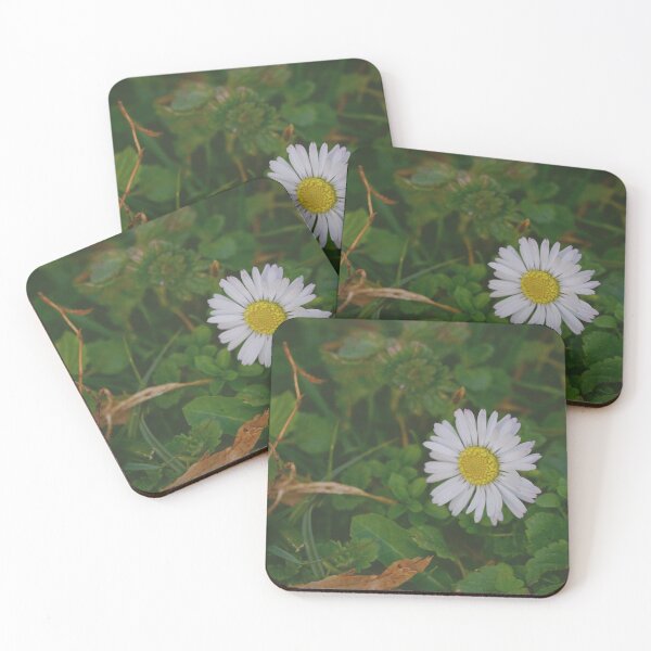 Item preview, Single Daisy Flower on Grass  designed and sold by CarolinaReina.