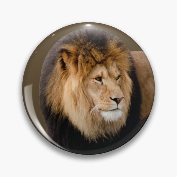 Item preview, Beautiful Lion (Brown) designed and sold by FilipeFerreira.