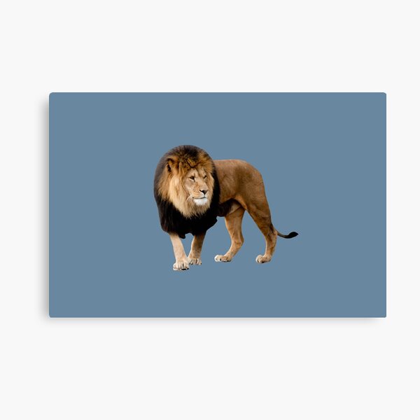 Impressions Sur Toile Sur Le Theme Lion Bleu Redbubble