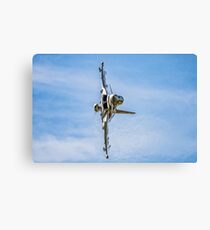G Force Canvas Print