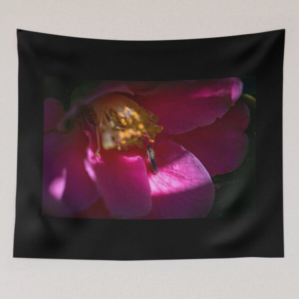 Item preview, Insect exploring a flower blossom designed and sold by AlbertMi.