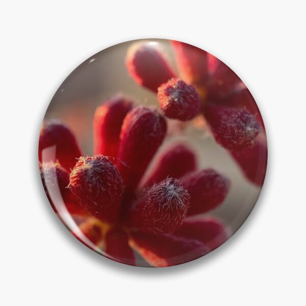 Item preview, Planta de fotografía macro designed and sold by pinkyjainpan.