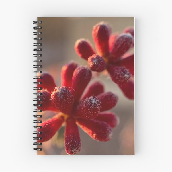 Aperçu de l'œuvre Plante de photographie macro créée et vendue par pinkyjainpan.