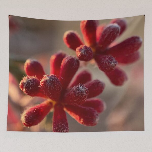 Item preview, Macro Photography Plant designed and sold by pinkyjainpan.