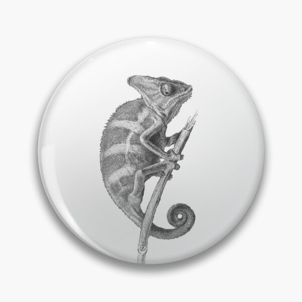 Item preview, Chameleon pencil drawing, Scientific illustration, black and white designed and sold by catnamedtiffany.
