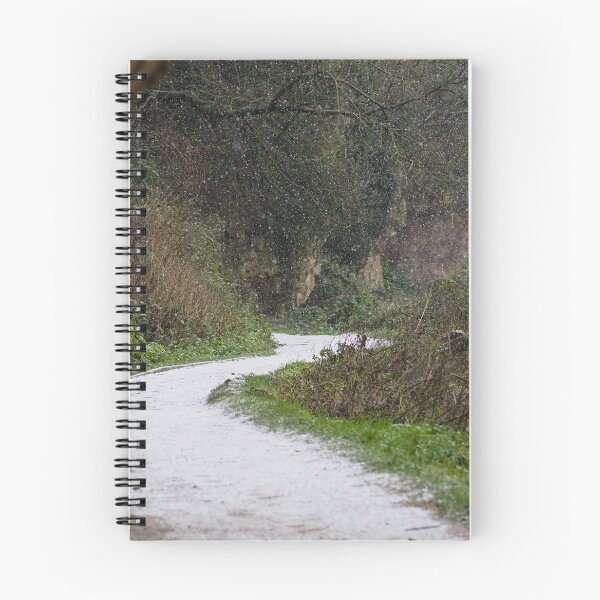 Item preview, Winter Walk designed and sold by beccaloui.