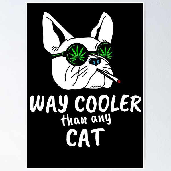 Item preview, French Bulldog - Way cooler than any Cat designed and sold by ShallyLoves.