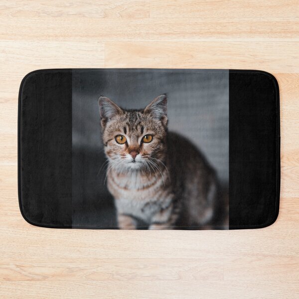 Item preview, Just watching my cat can make me happy. designed and sold by lastechance.