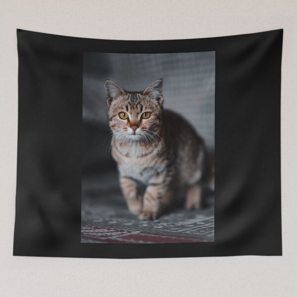 Item preview, Just watching my cat can make me happy. designed and sold by lastechance.