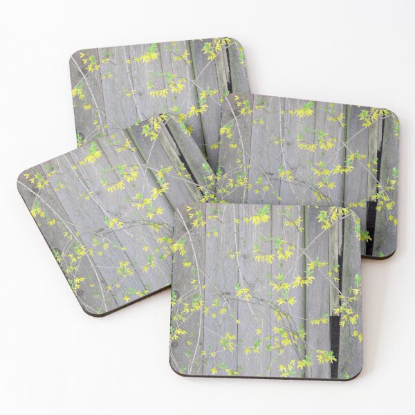 Item preview, Fence with Forsythia  designed and sold by Ethna Gillespie.