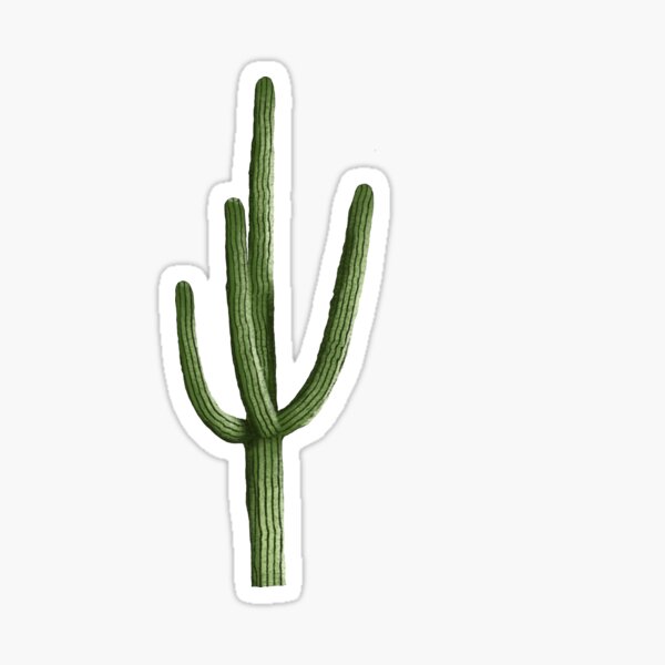 Green cactus, Cactaceae Saguaro Drawing, Arizona Cowboy s, hand, plant Stem  png