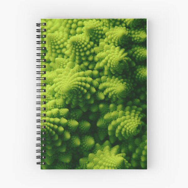 Item preview, Romanesco broccoli, close-up shot designed and sold by Bruno Beach.