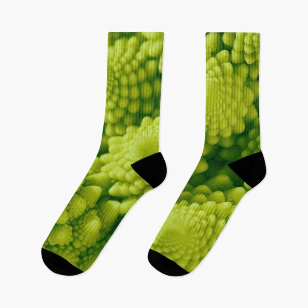 Item preview, Romanesco broccoli (Brassica oleracea), close-up shot designed and sold by Bruno Beach.