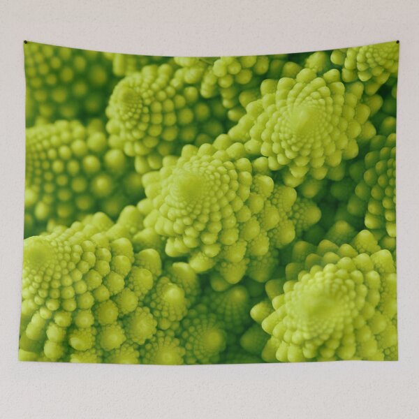 Item preview, Romanesco broccoli (Brassica oleracea), close-up shot designed and sold by Bruno Beach.