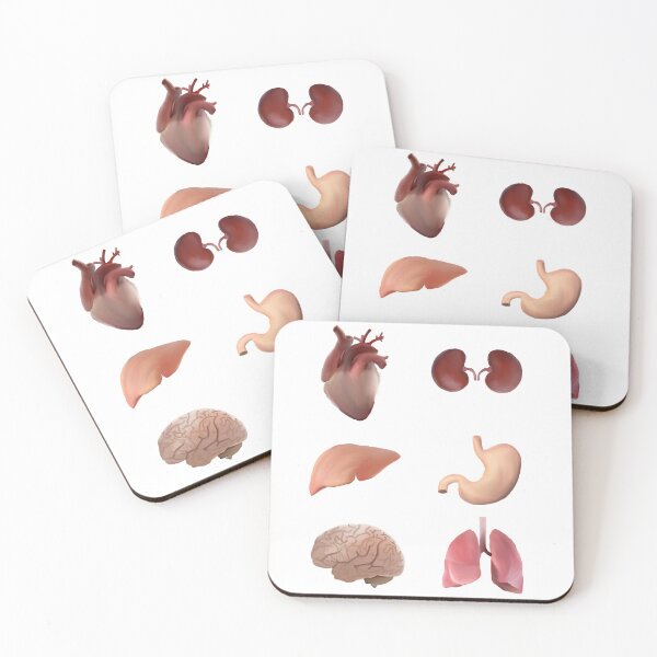 Item preview, Organs - Anatomy designed and sold by halletthorses.