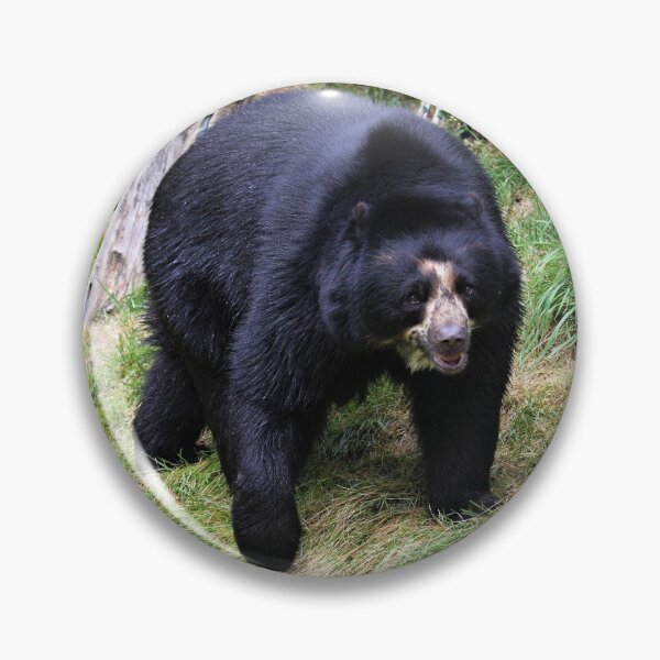 Item preview, Bear Stroll designed and sold by Fearless-Fox.