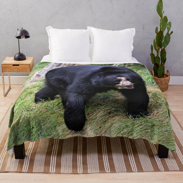 Item preview, Bear Stroll designed and sold by Fearless-Fox.