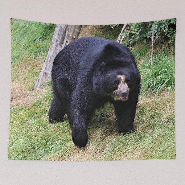 Item preview, Bear Stroll designed and sold by Fearless-Fox.
