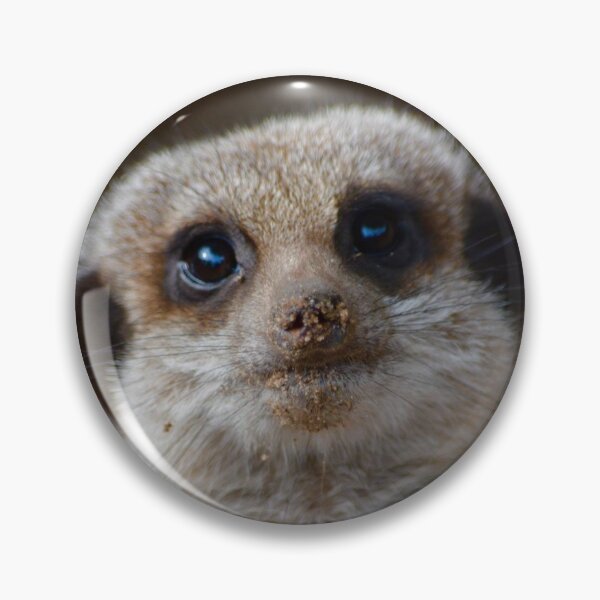 Item preview, Meerkat Animal Photography  designed and sold by itschloecleary.