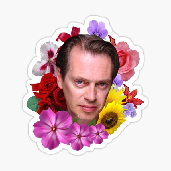 Steve Buscemi Stickers for Sale Redbubble