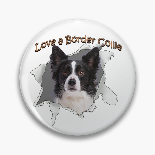 Item preview, Love a Border Collie designed and sold by John Guthrie.