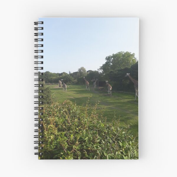 Item preview, Giraffes live in herds. designed and sold by UnsereWelt.