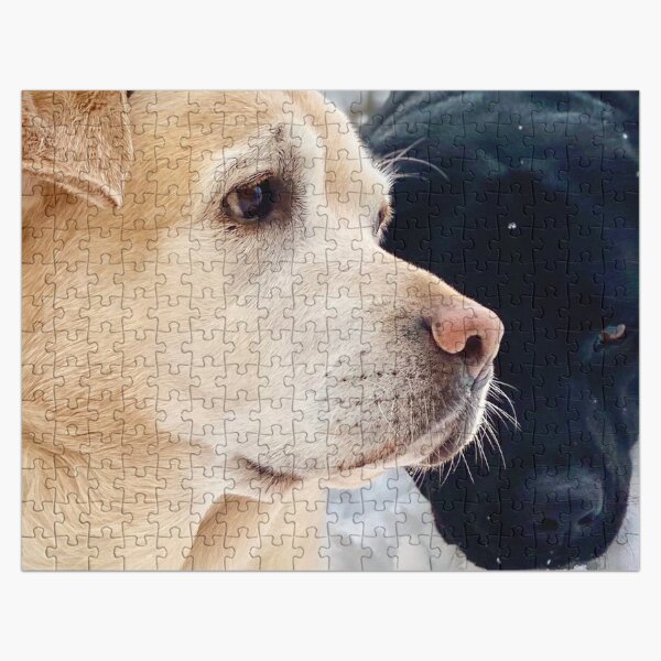 black lab jigsaw puzzle