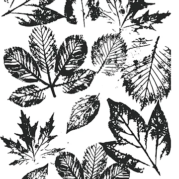 Artwork thumbnail, leaf by PebblesPrint
