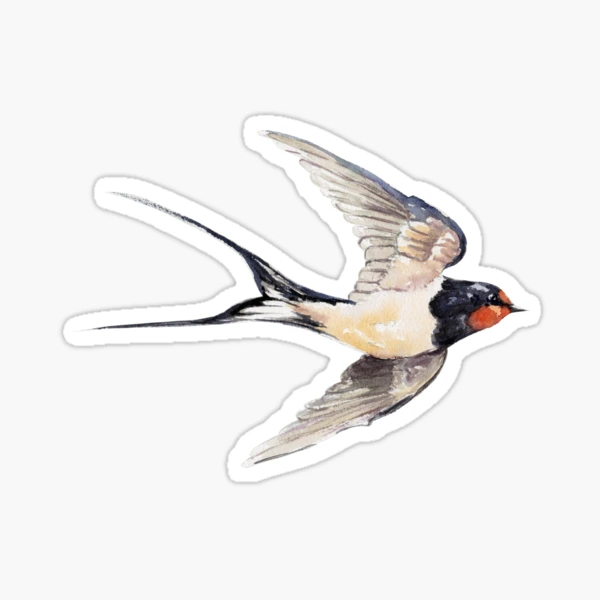 Swallow #2 sticker - bird mafia