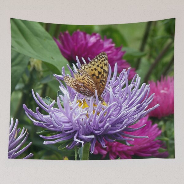 Item preview, Painted Lady  designed and sold by Campbell Gallery.