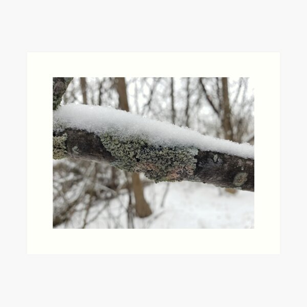Item preview, Snowy Lichen designed and sold by AmazingAmanda42.