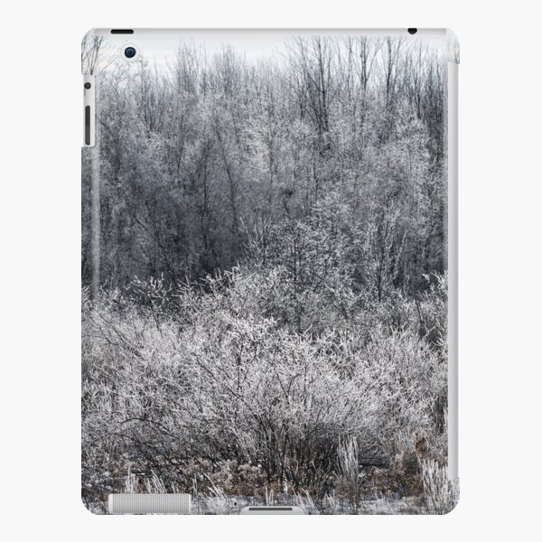 Frozen Branches iPad Snap Case