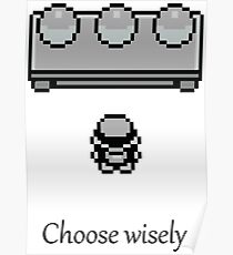 Pokemon - The choice Poster