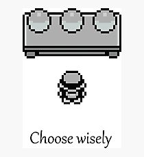 Pokemon - The choice Photographic Print