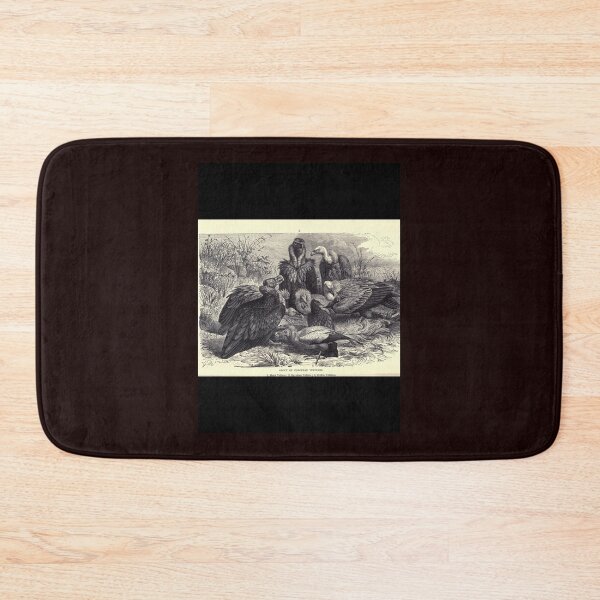 Item preview, VULTURES = European Vulture - 歐洲兀鷲 Ōuzhōu wùjiù designed and sold by Chinaspaces.