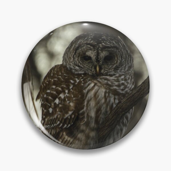 Item preview, A barred owl designed and sold by photobypj.