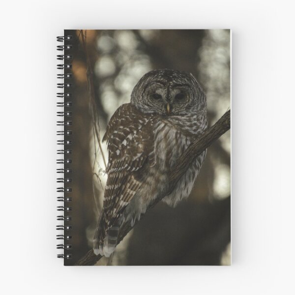 Item preview, A barred owl designed and sold by photobypj.