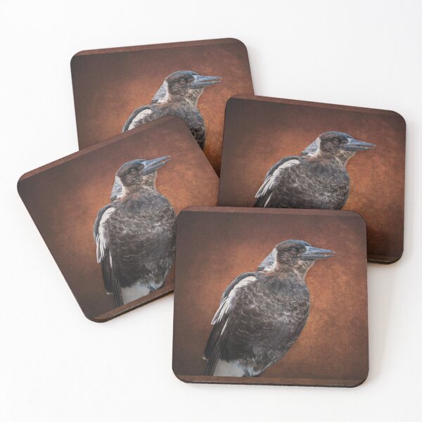 Item preview, Young Magpie designed and sold by NaturallyArt.