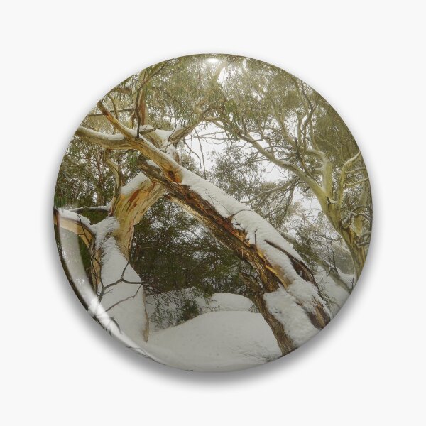 Item preview, Eucalypts in snow, Mt. Buffalo designed and sold by Kevin McGennan.