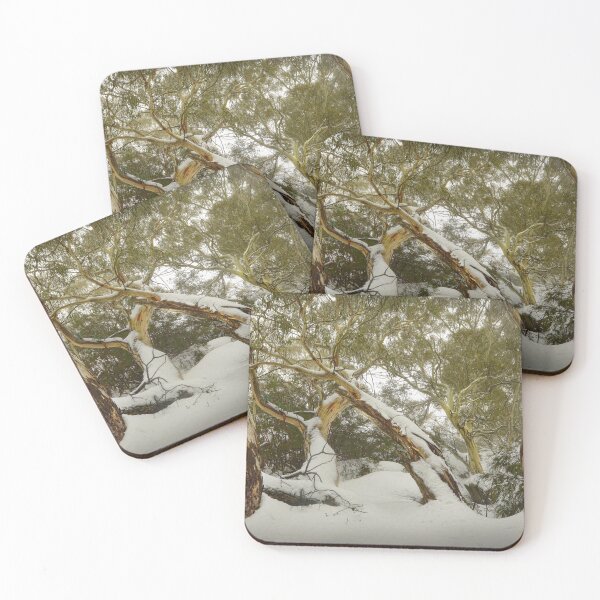 Item preview, Eucalypts in snow, Mt. Buffalo designed and sold by Kevin McGennan.