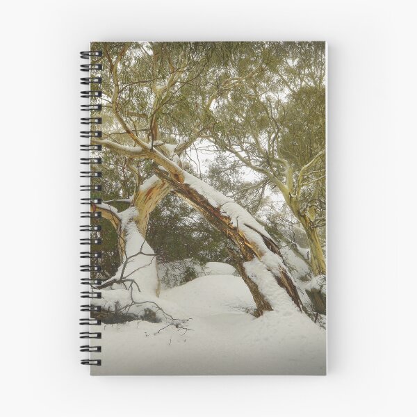 Item preview, Eucalypts in snow, Mt. Buffalo designed and sold by Kevin McGennan.