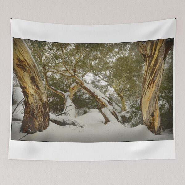 Item preview, Eucalypts in snow, Mt. Buffalo designed and sold by Kevin McGennan.