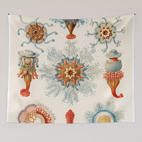 Item preview, Jellyfish designed and sold by StudioArtNew.