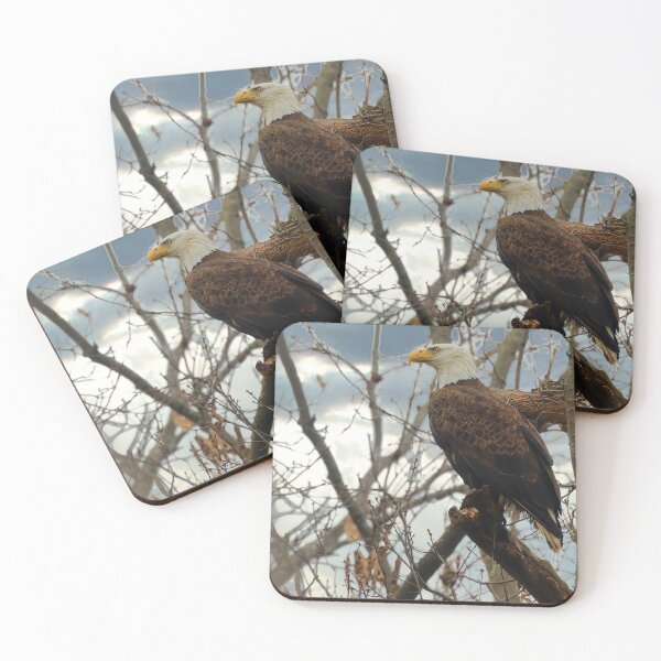 Item preview, Hope The Eagle designed and sold by KDartisticeye.