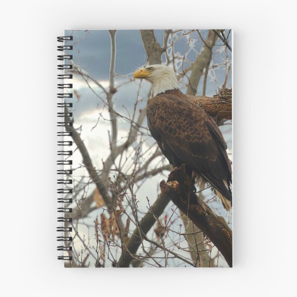 Item preview, Hope The Eagle designed and sold by KDartisticeye.