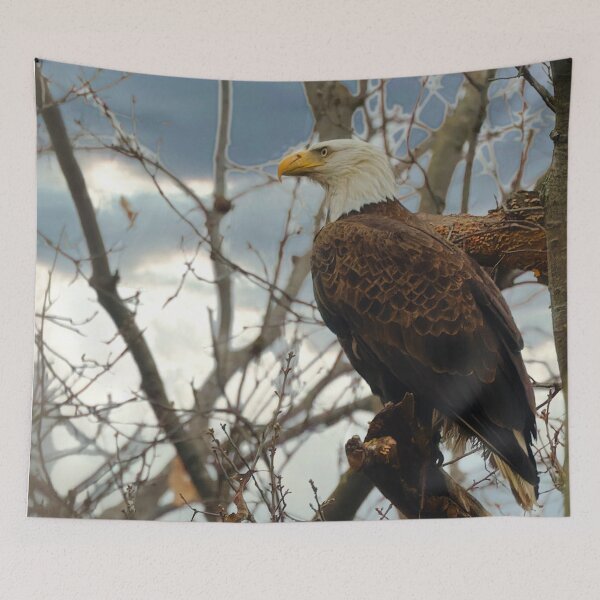 Item preview, Hope The Eagle designed and sold by KDartisticeye.